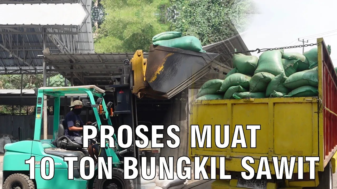 
                                 Proses-Muat-10-Ton-Bungkil-Sawit